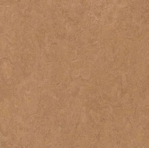 Linoleum – imitace plovoucí podlahy v ceně do 700,- Kč
