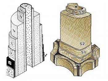 Stavba a struktuta buněčné stěny dřeva