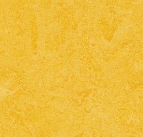 Linoleum – imitace plovoucí podlahy v ceně do 1.400,- Kč