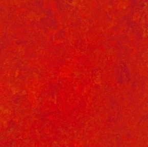 Linoleum – imitace plovoucí podlahy v ceně do 700,- Kč