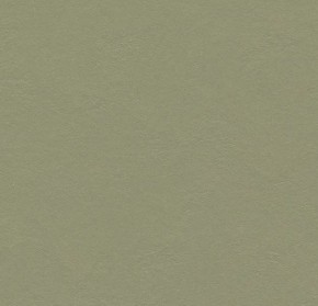 Linoleum – imitace plovoucí podlahy v ceně do 1.400,- Kč