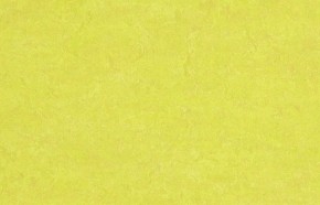 Marmoleum v ceně do 800,- Kč