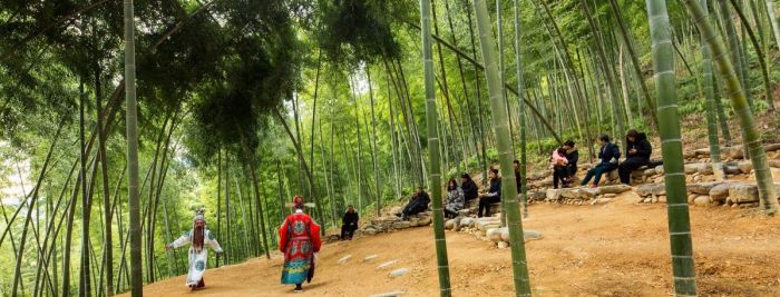 Bambusové divadlo