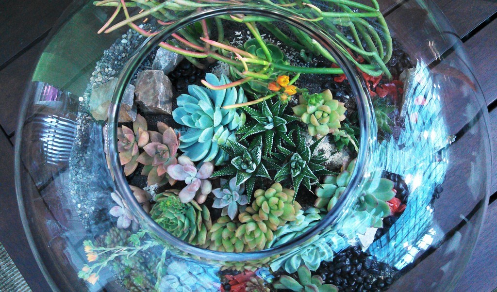 florárium