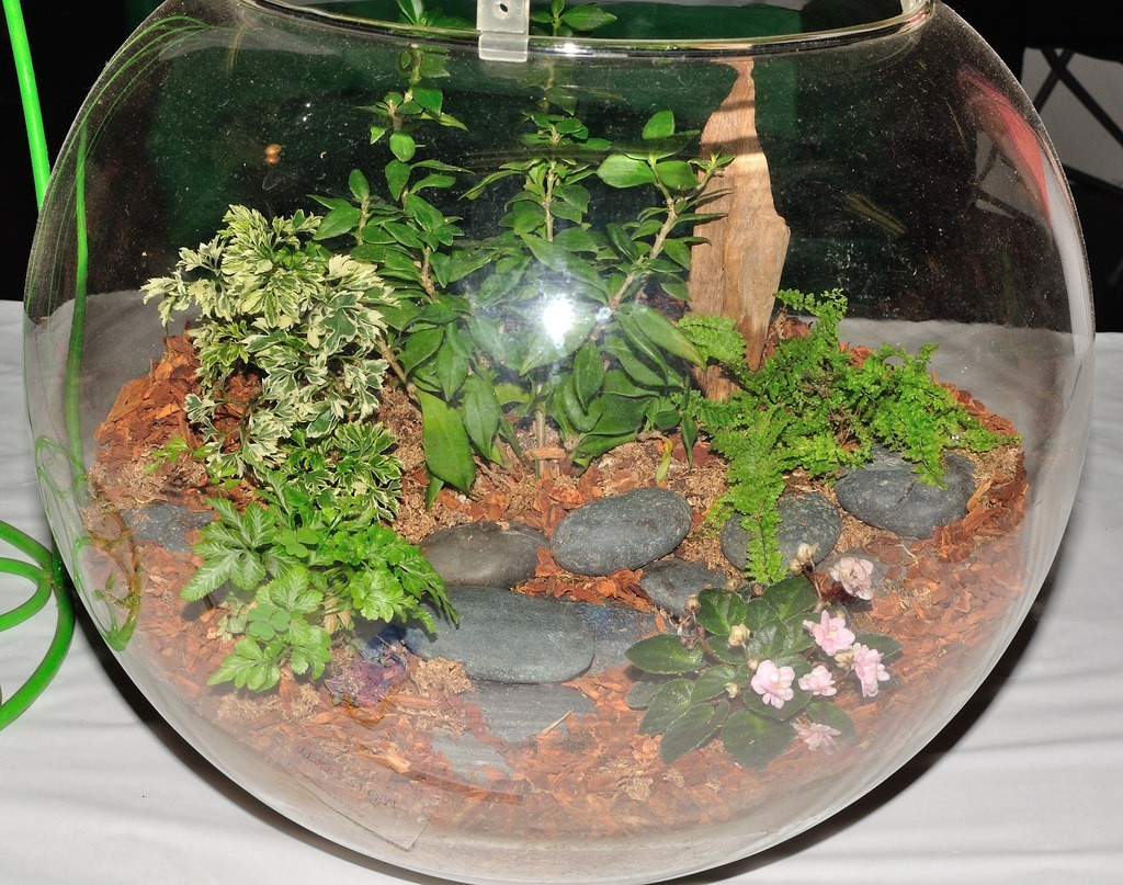 florárium