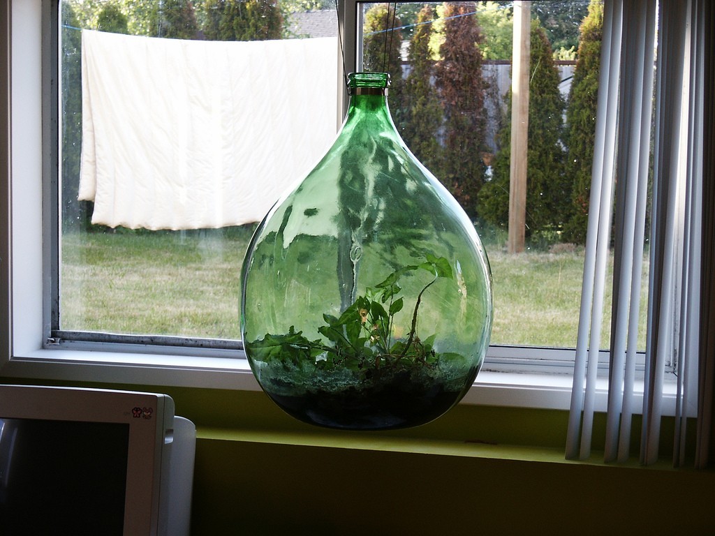 florárium