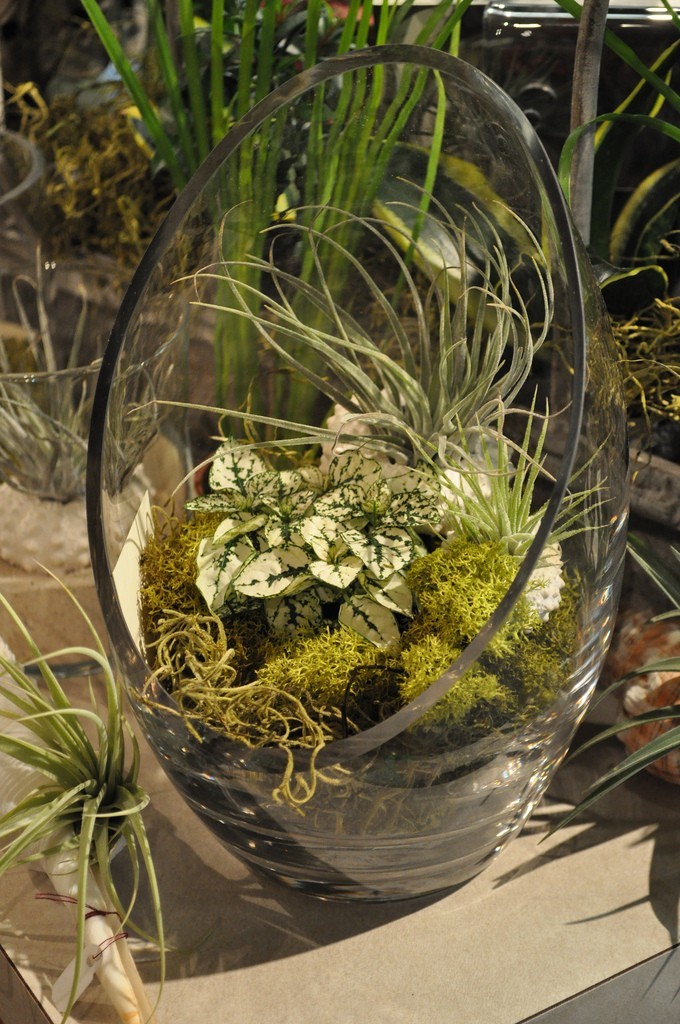 florárium