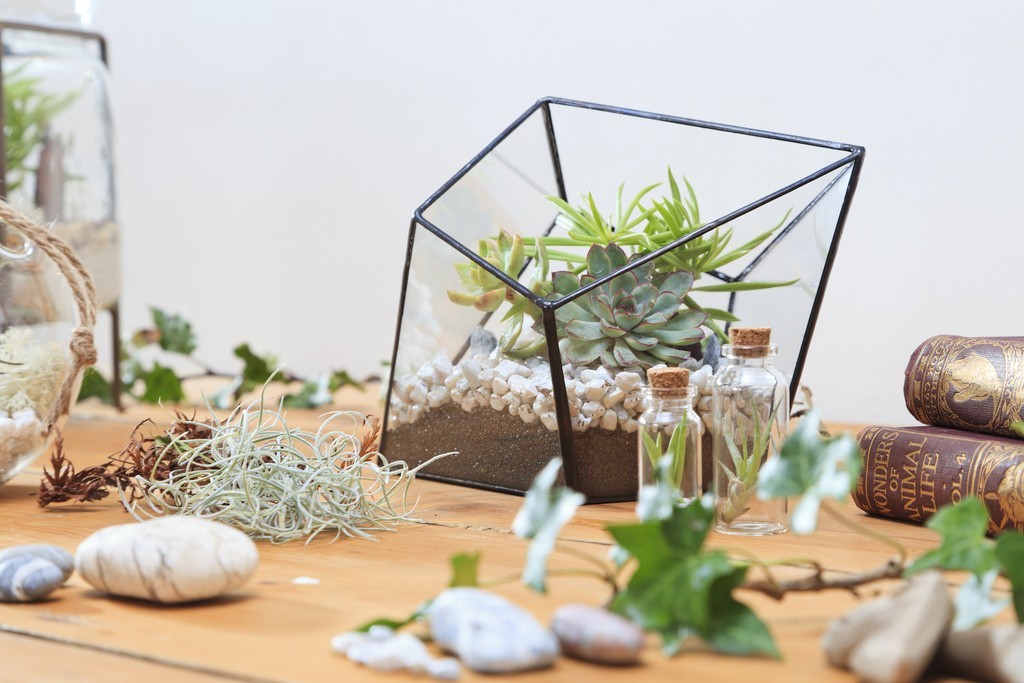 florárium