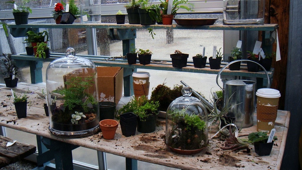florárium