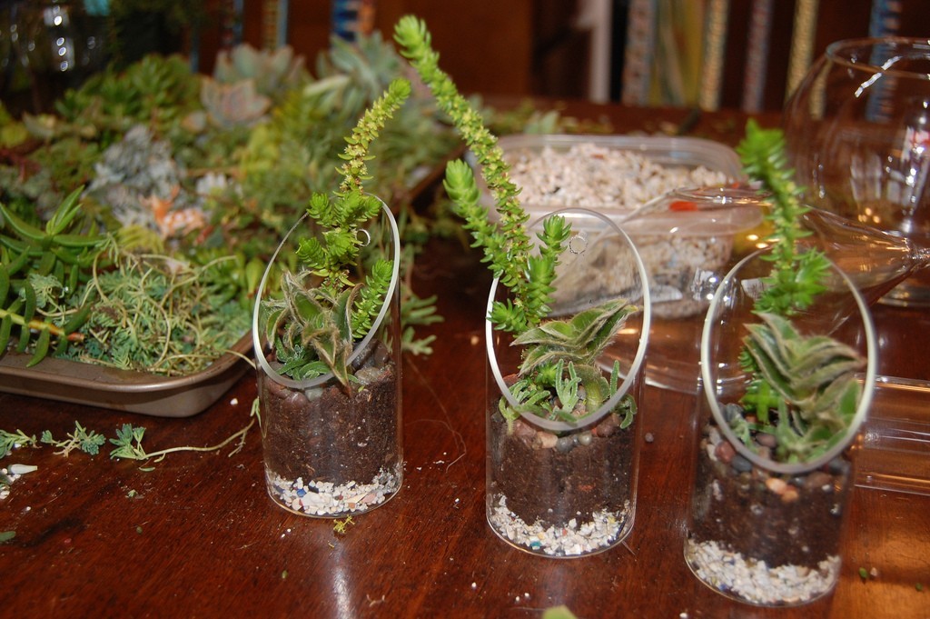 florárium