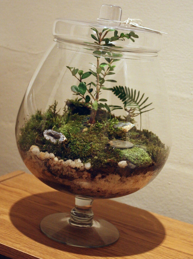 florárium