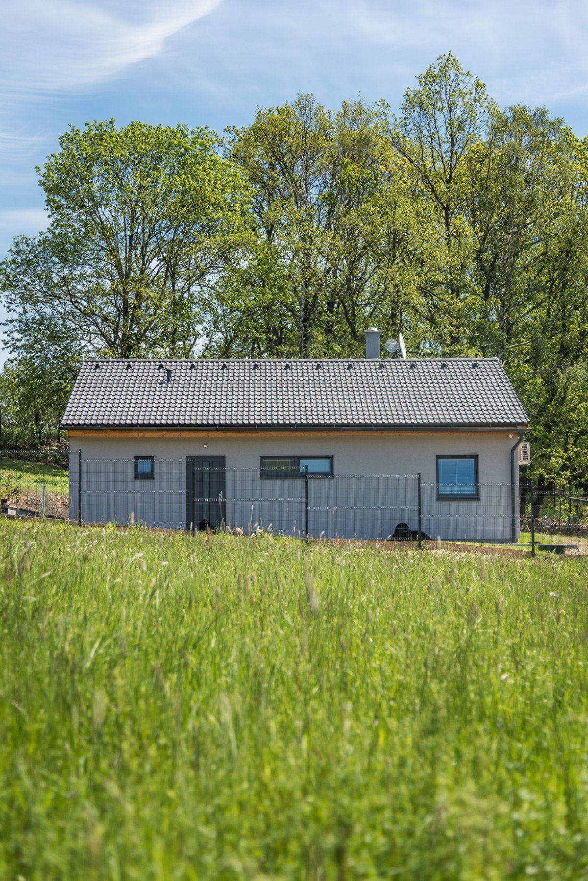 Reference a zkušenosti s firmou Donami Real