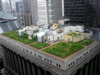 Zelená střecha na domě uprostřed města