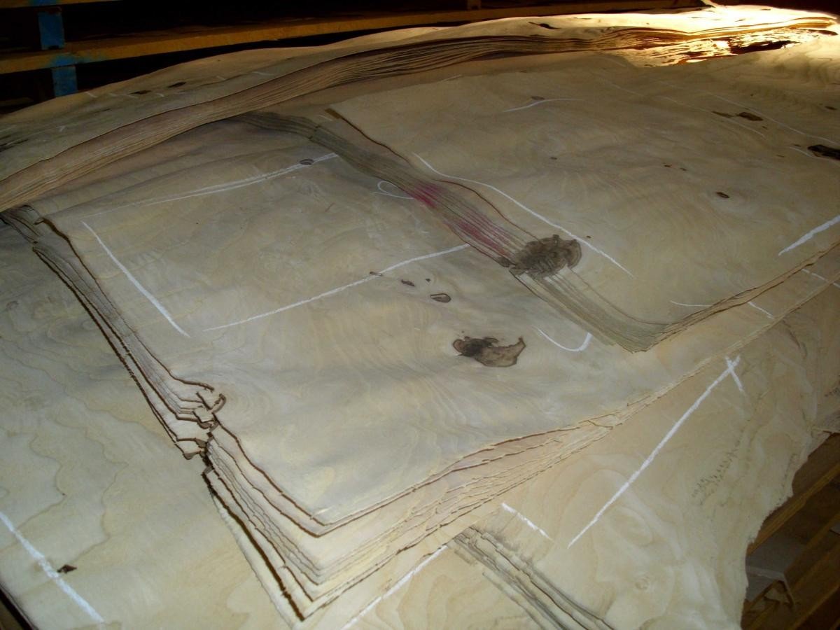 dýha