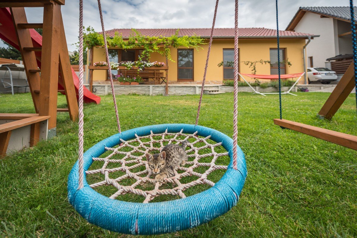Reference a zkušenosti s dřevostavbou