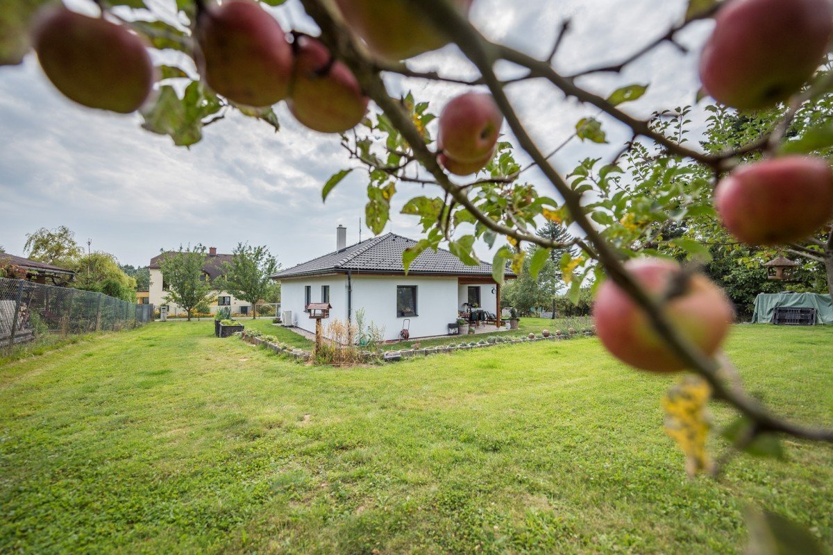 Reference a zkušenosti s firmou DD Haus