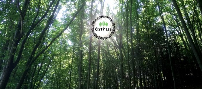 Příběh Čistého lesa: vše začalo přáním bydlet blíž přírodě