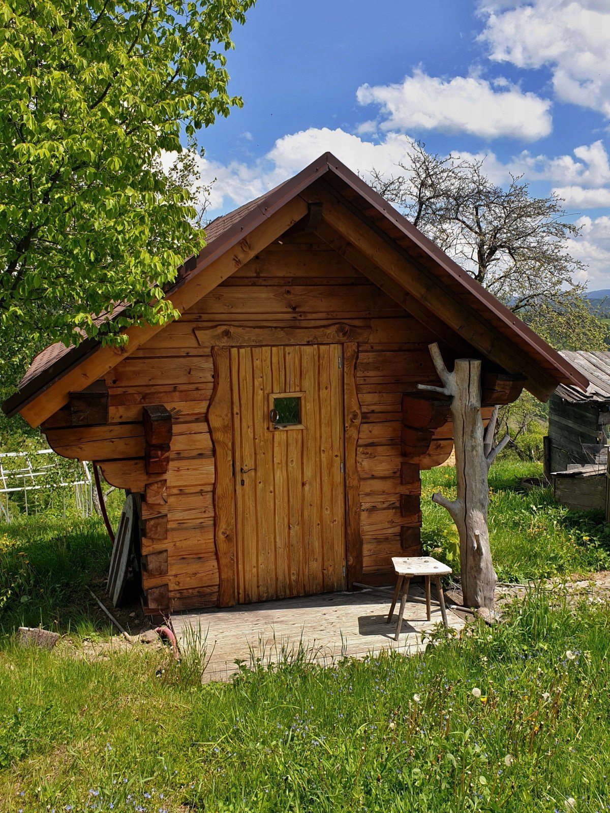 sauna