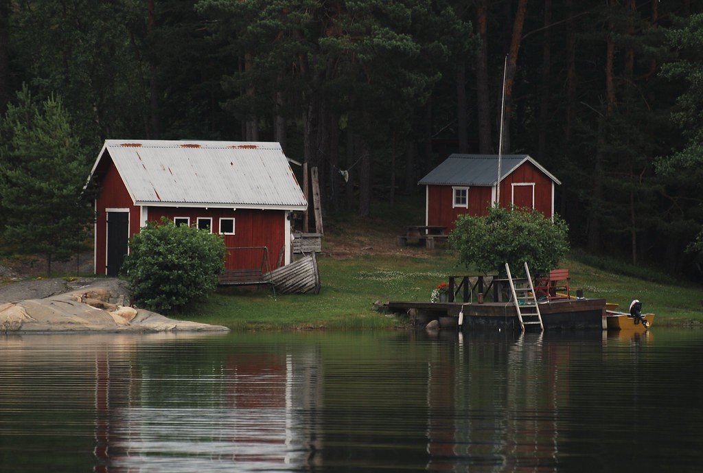 sauny