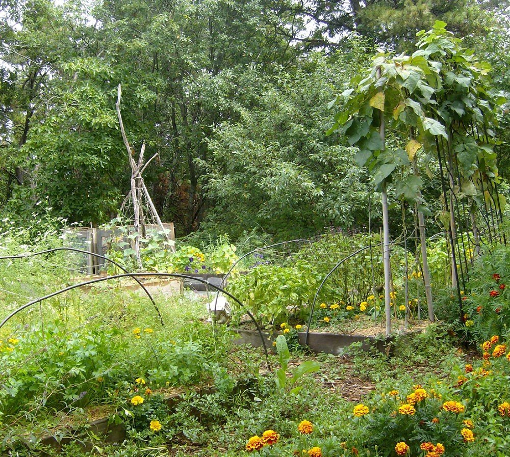 permakulturní zahrada