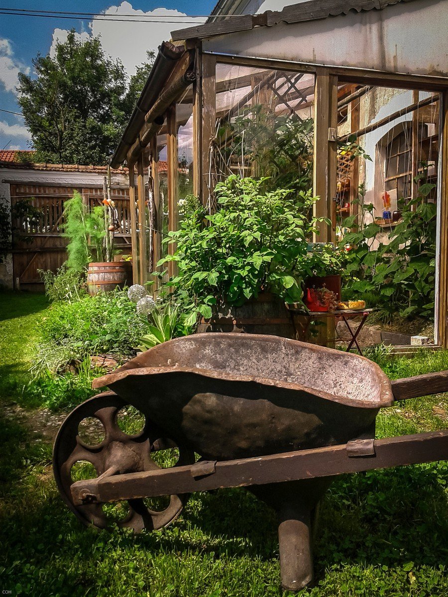 permakulturní zahrada
