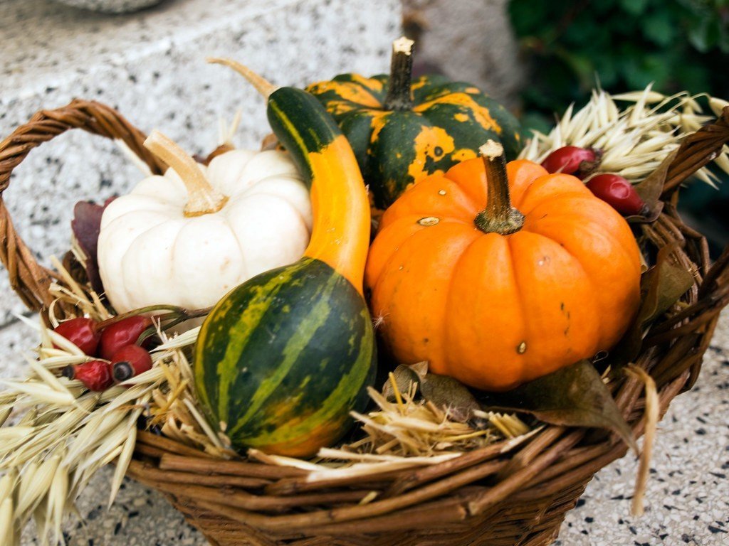 Podzimní dekorace – inspirace