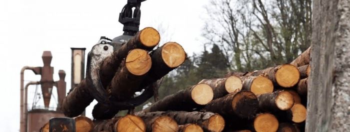 Dřevo jako supermateriál aneb devatero pro dřevo