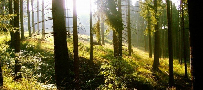 Seminář WOOD Camp: Ekologie a dřevostavba