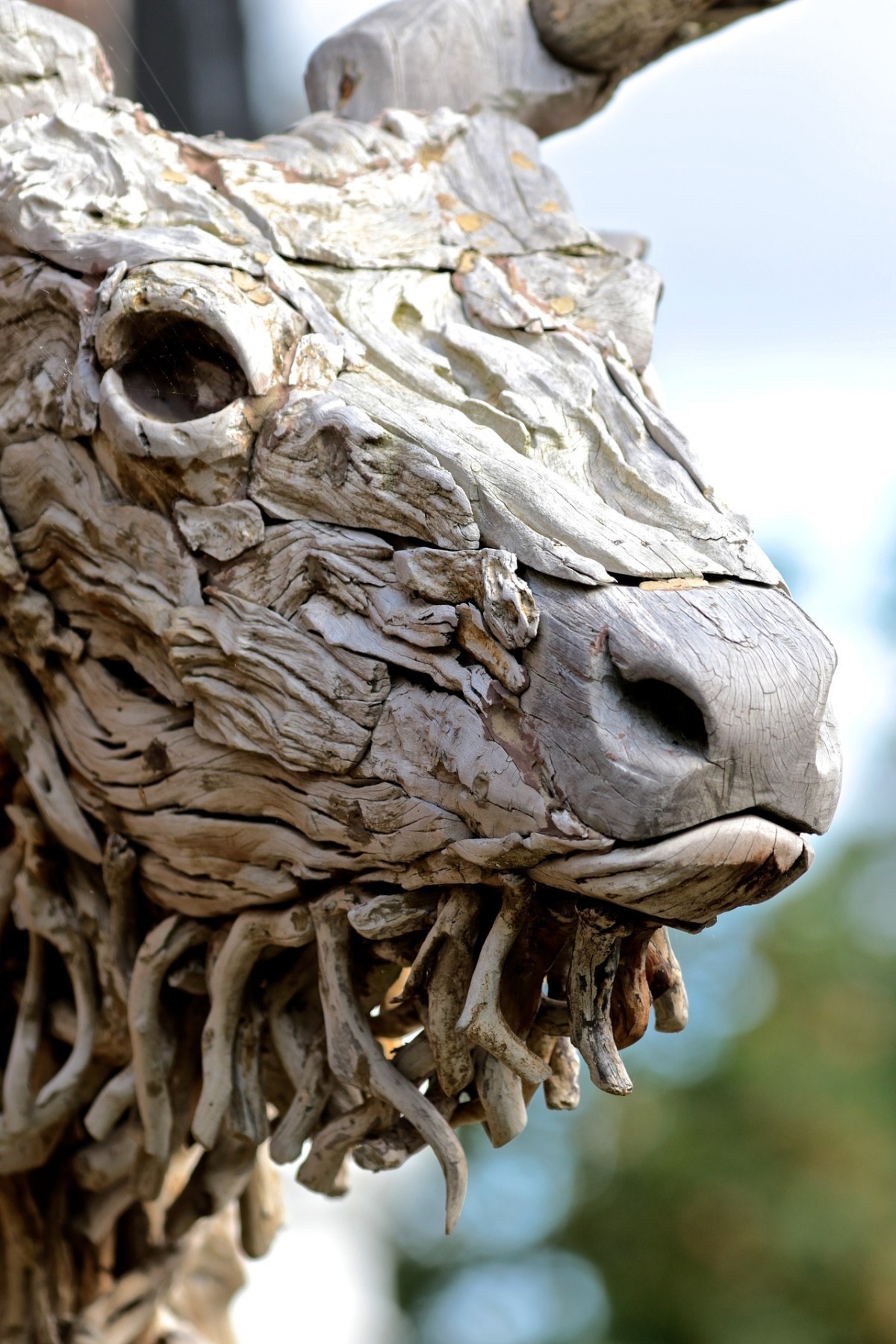 driftwood naplavené dřevo inspirace