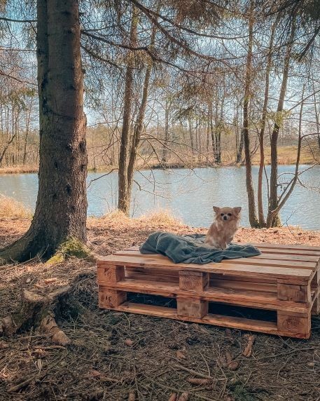 tiny house svépomocí