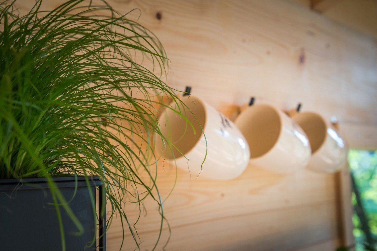 treehouse na vysočině