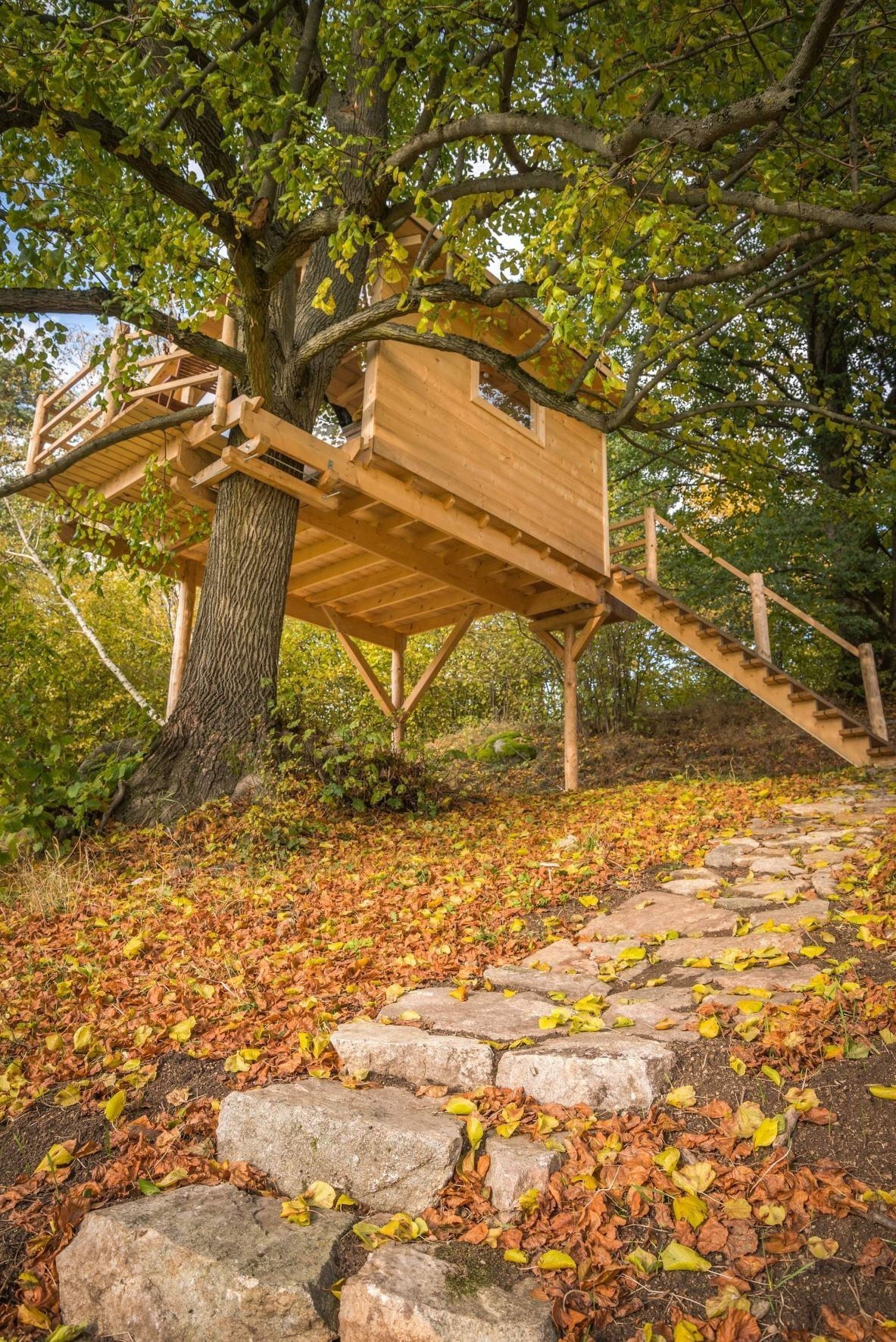 treehouse na vysočině