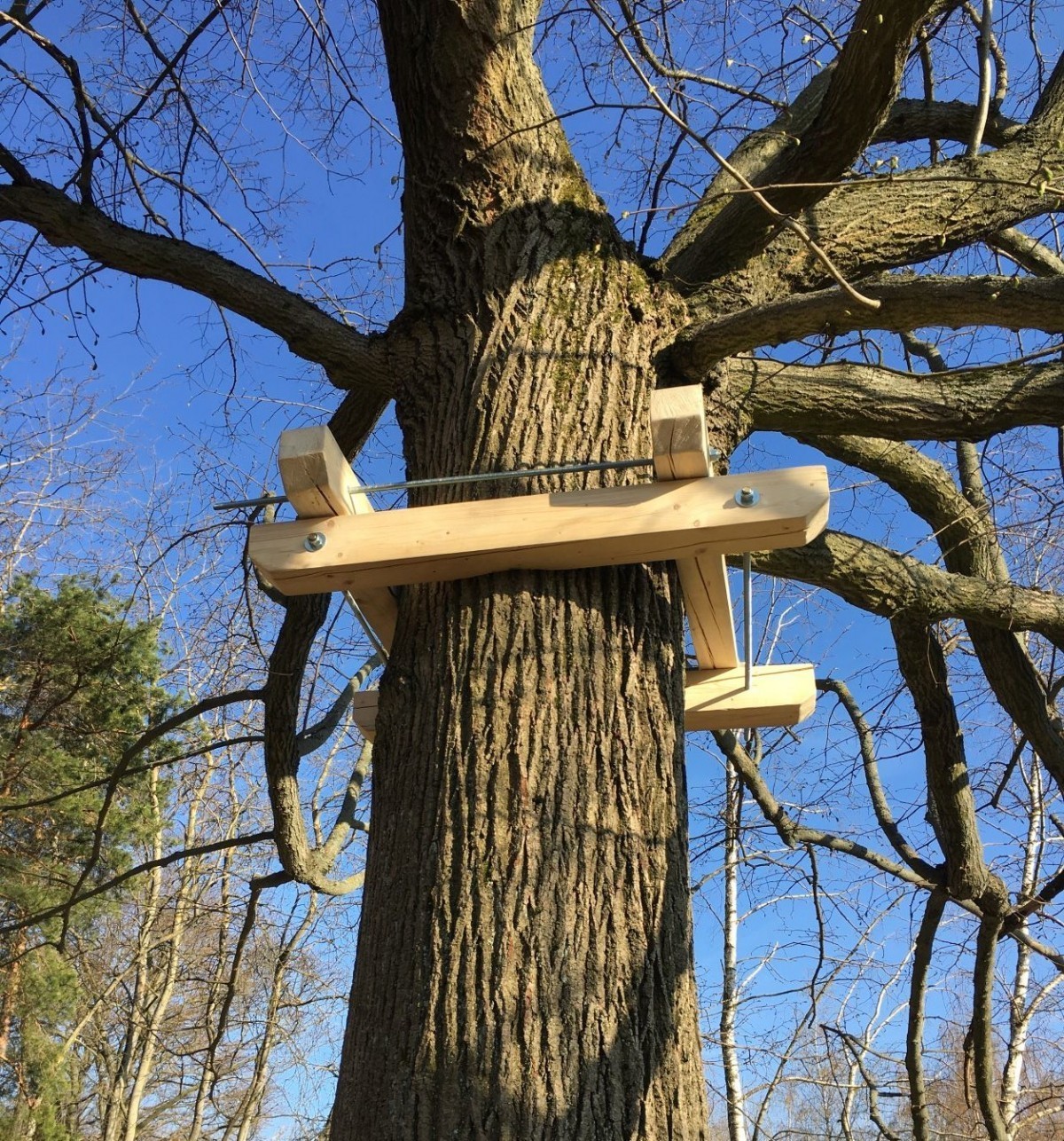 treehouse na vysočině