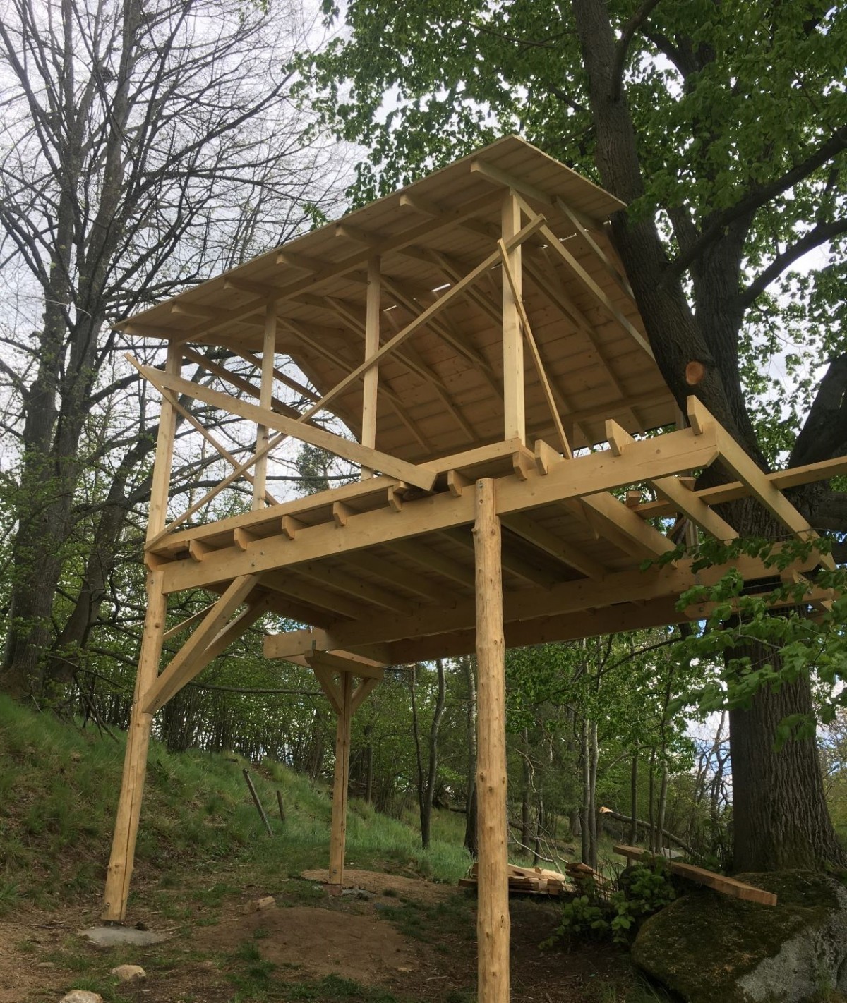 treehouse na vysočině