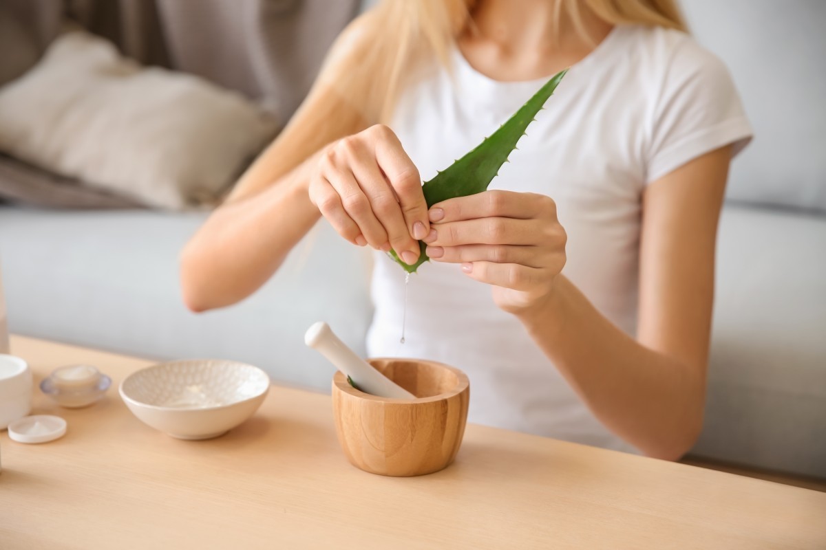 Aloe vera