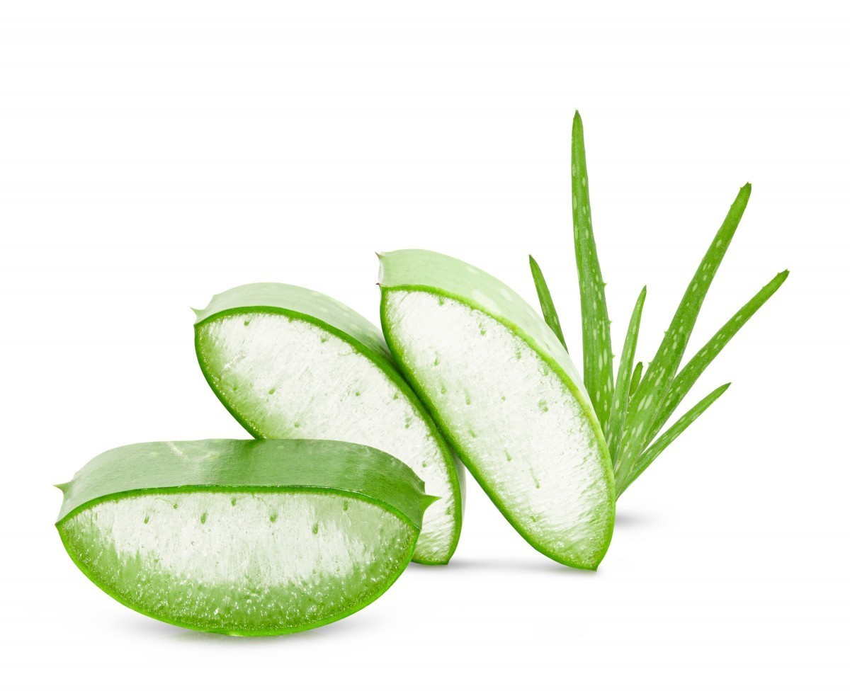 Aloe vera