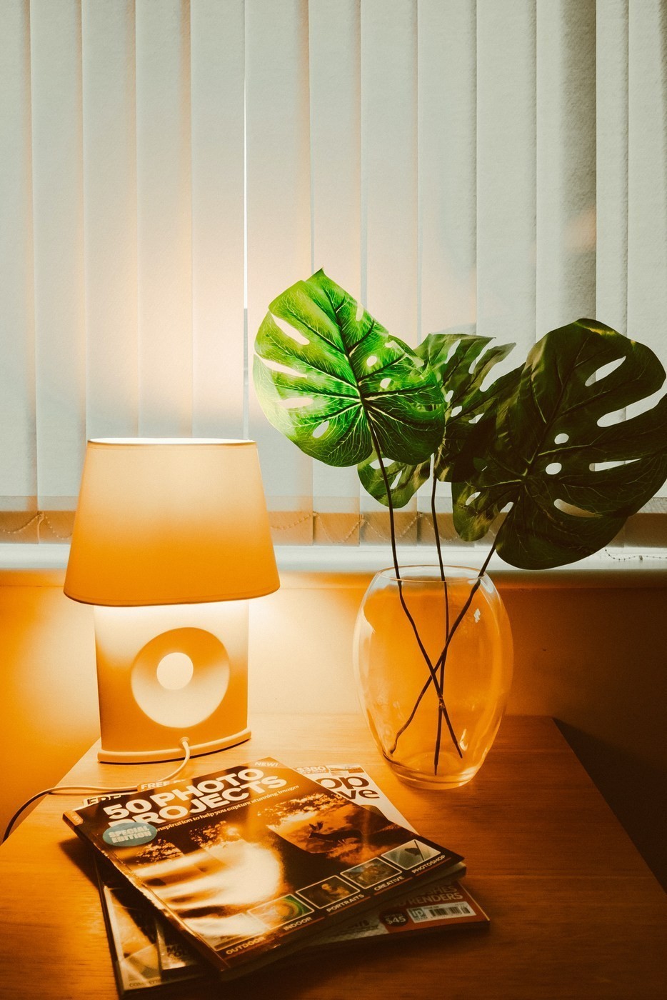 monstera deliciosa