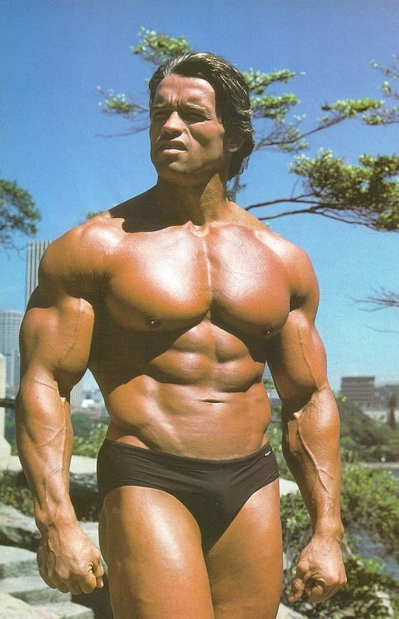 Dřevostavba Arnolda Schwarzeneggera