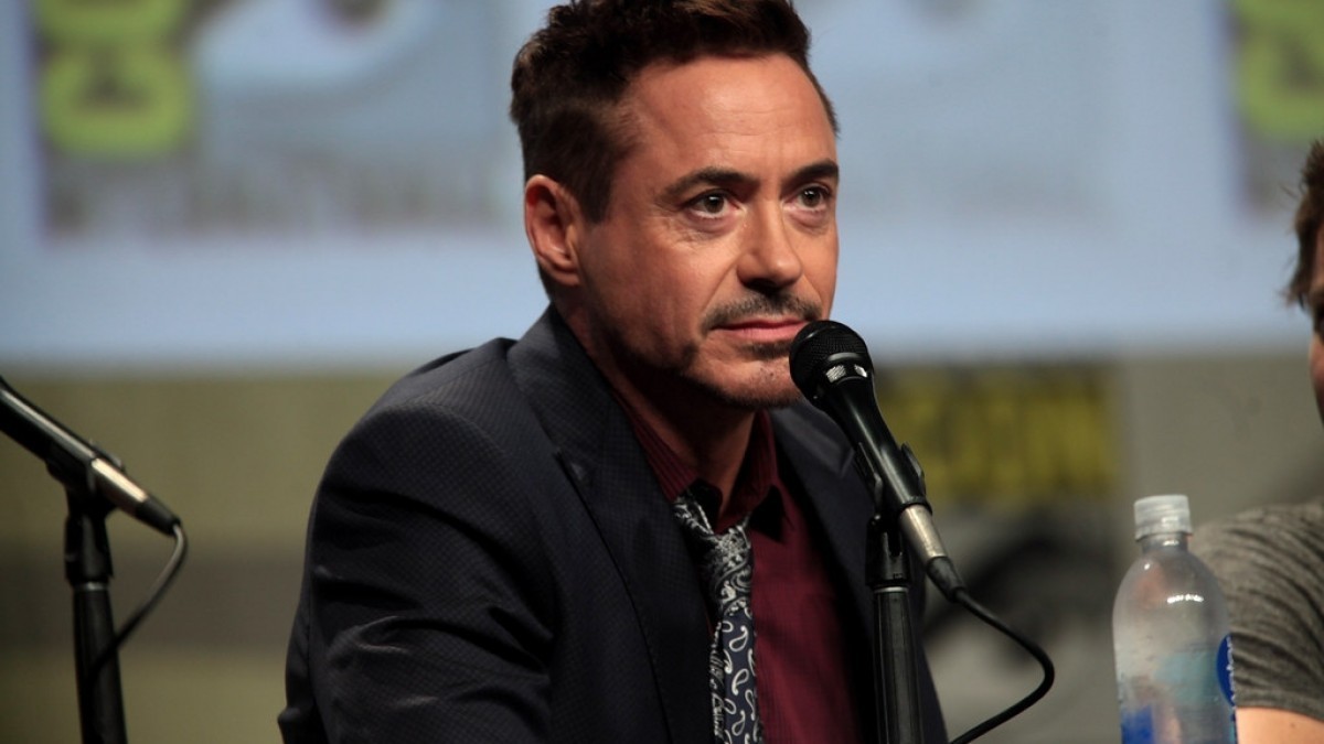 Herec Robert Downey Jr. bydlí ve výstřední dřevostavbě