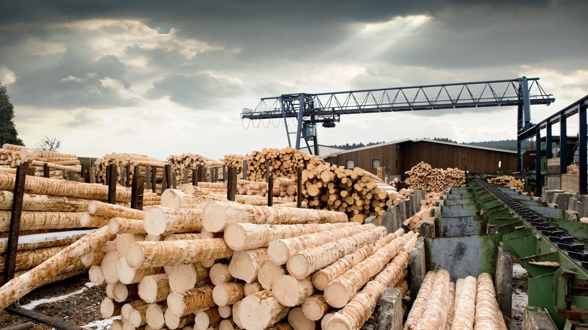 Kaskádový princip využívání dřeva je synonymem udržitelnosti