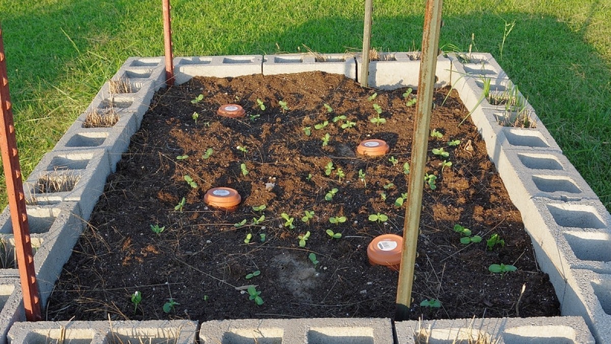 Zahradní olla