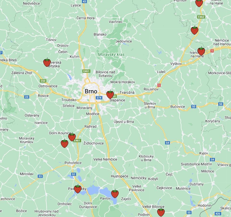 Samosběr jahod Brno