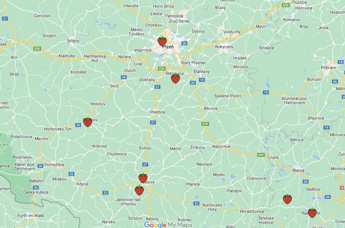 samosběr jahod Plzeň