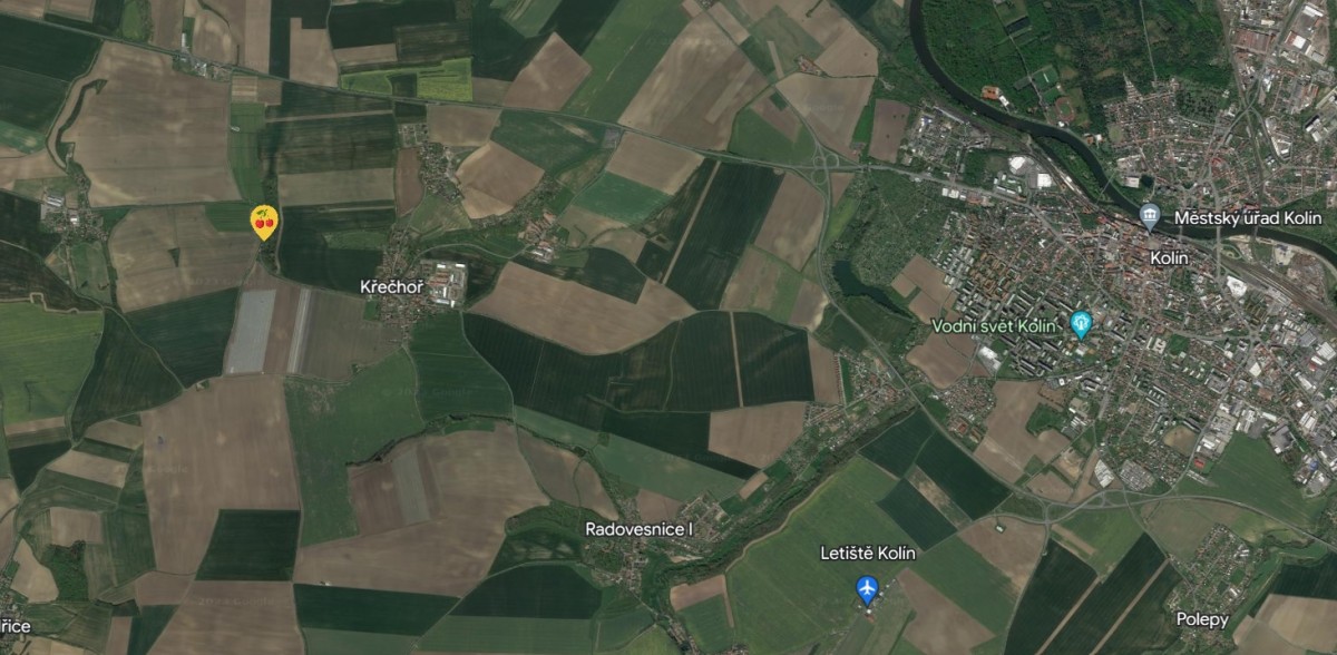 Samosběr třešní Kolín