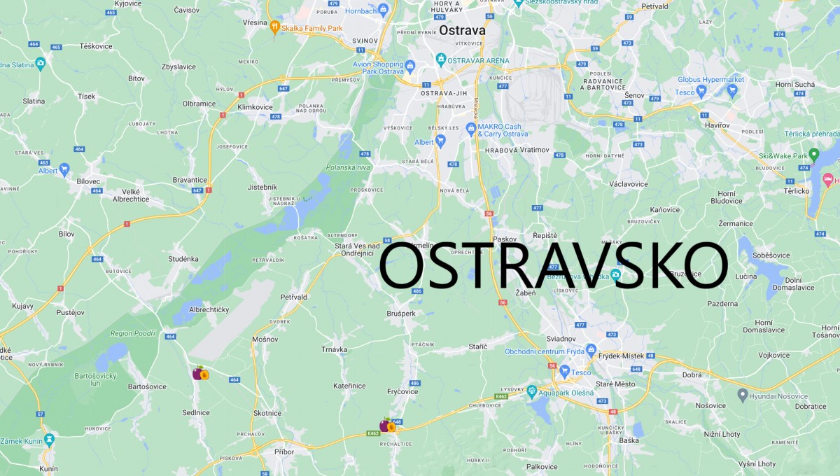 Samosběr švestek Ostrava