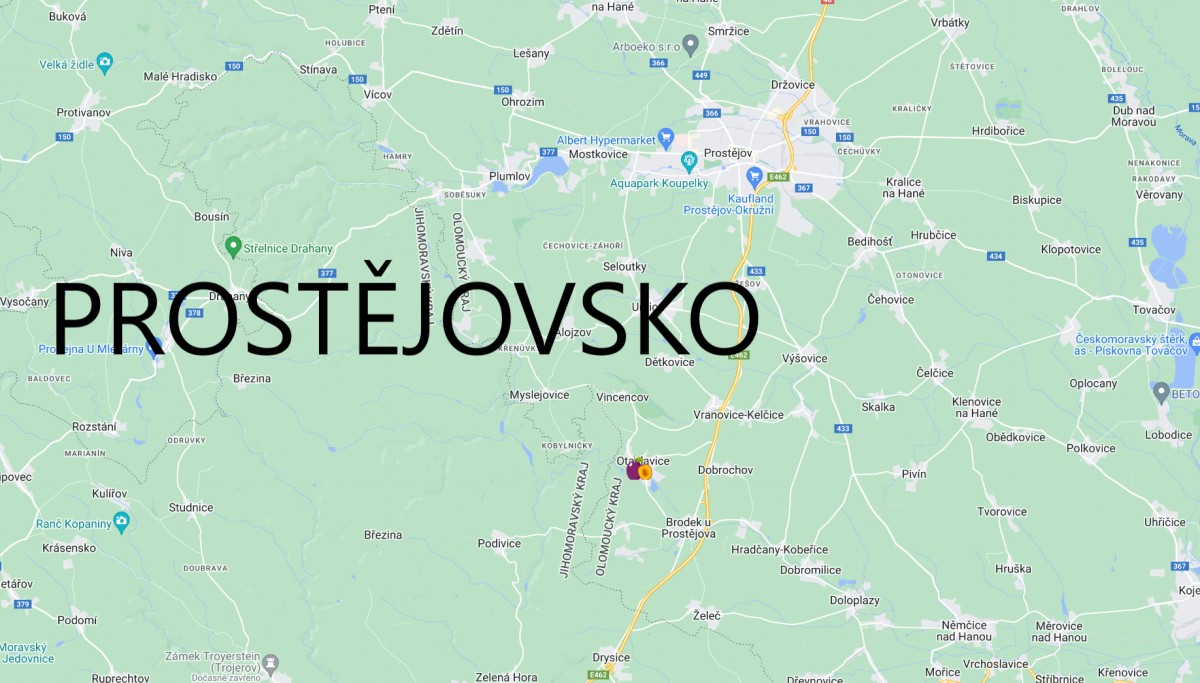 Samosběr švestek Prostějov