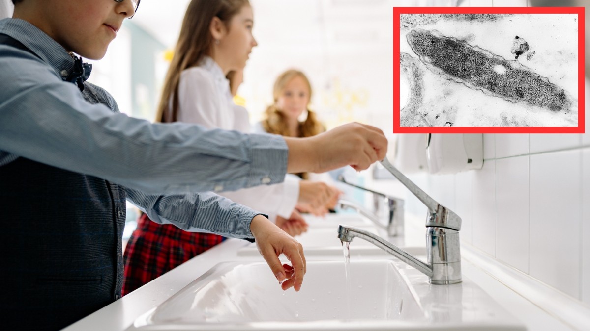 V Česku má letos legionella již 28 obětí