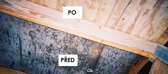 Dřevo před ochranou a po ošetření