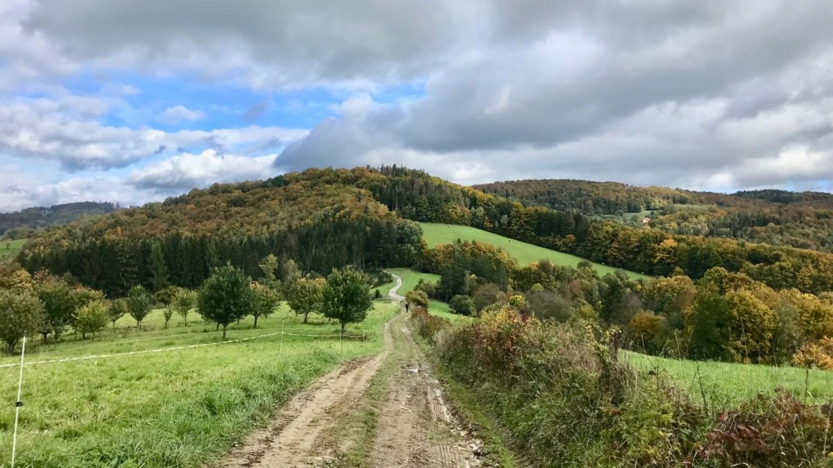 Novela zákona může výrazně omezit vstup veřejnosti do českých lesů