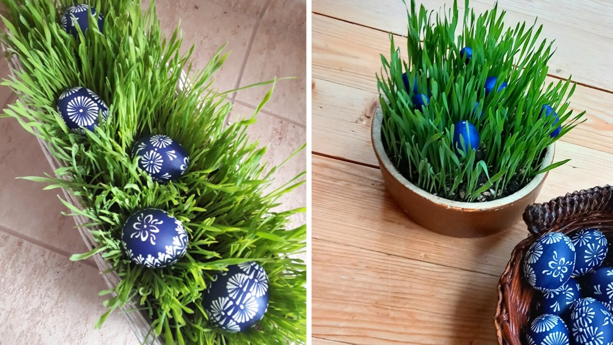 velikonoční osení